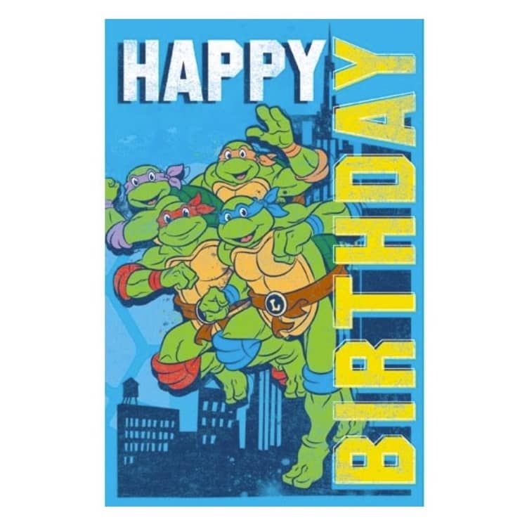 Teenage Mutant Ninja Turtles Birthday Card 11.5cm x 18cm With Blue Envelope - Party Owls