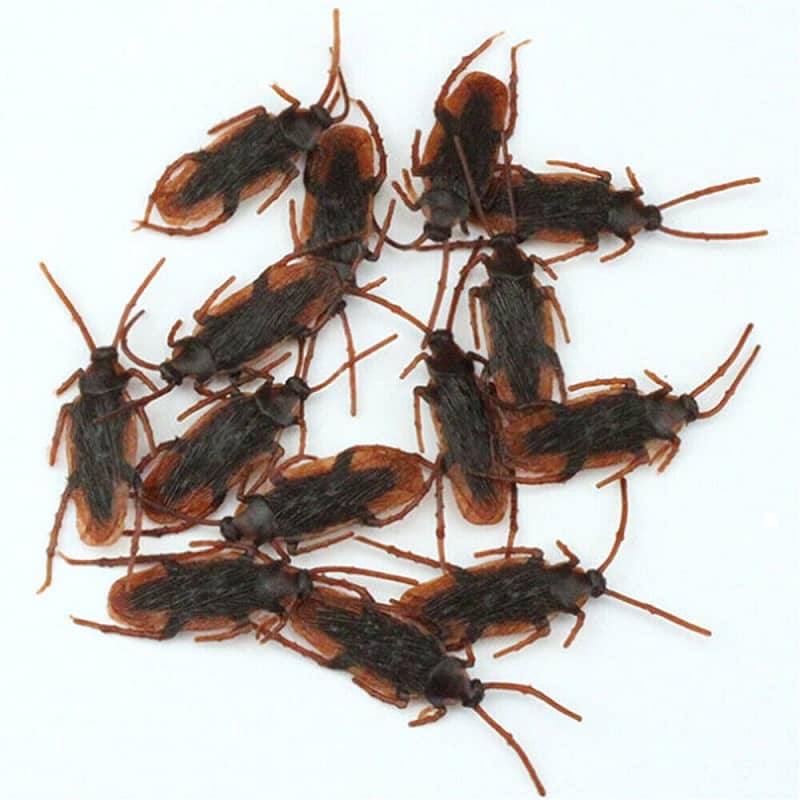 10 Fake Plastic Cockroaches 6.5CM Halloween Decorations - Party Owls