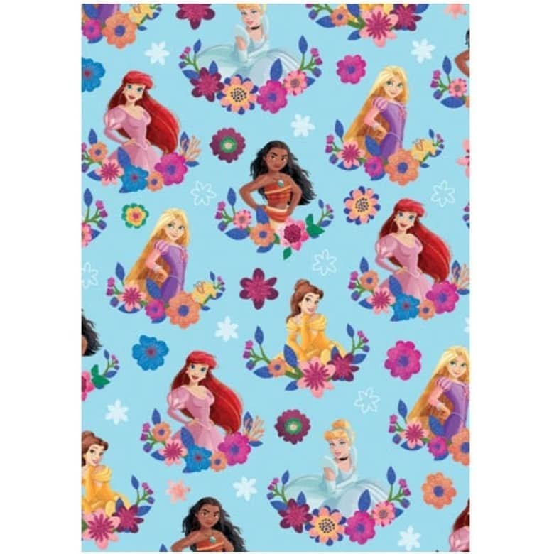 Disney Princess Gift Wrap 1 Sheet Folded Wrapping Paper WEW1199 - Party Owls