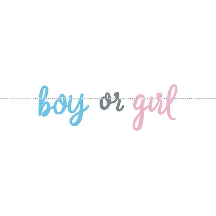 Gender Reveal Jointed Banner 2.13M Boy Or Girl 76087 - Party Owls