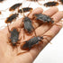 10 Fake Plastic Cockroaches 6.5cm Halloween Decorations - Party Owls