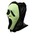Hooded Ghostface Mask (Glow In The Dark)