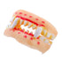 Spooky Fake Teeth 1pc Halloween (Type 3)