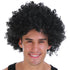 Black Afro Wig 70's - Party Owls