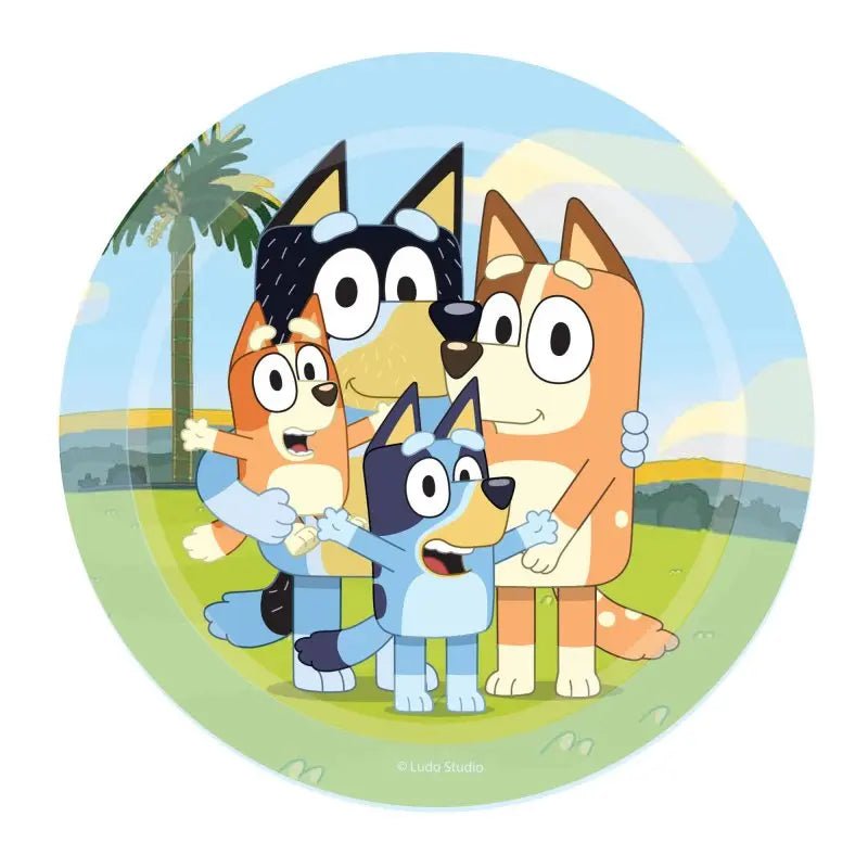 Bluey Small Paper Plates 17cm (7") 8pk - Party Owls