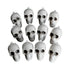 Mini Skulls 12pcs 5.5cm Halloween Decorations - Party Owls