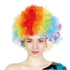 Rainbow Afro Wig - Clown - Party Owls