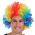 Rainbow Afro Wig - Party Owls