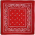 Red Paisley Bandana Head Wrap Neck Scarf Mask - Party Owls