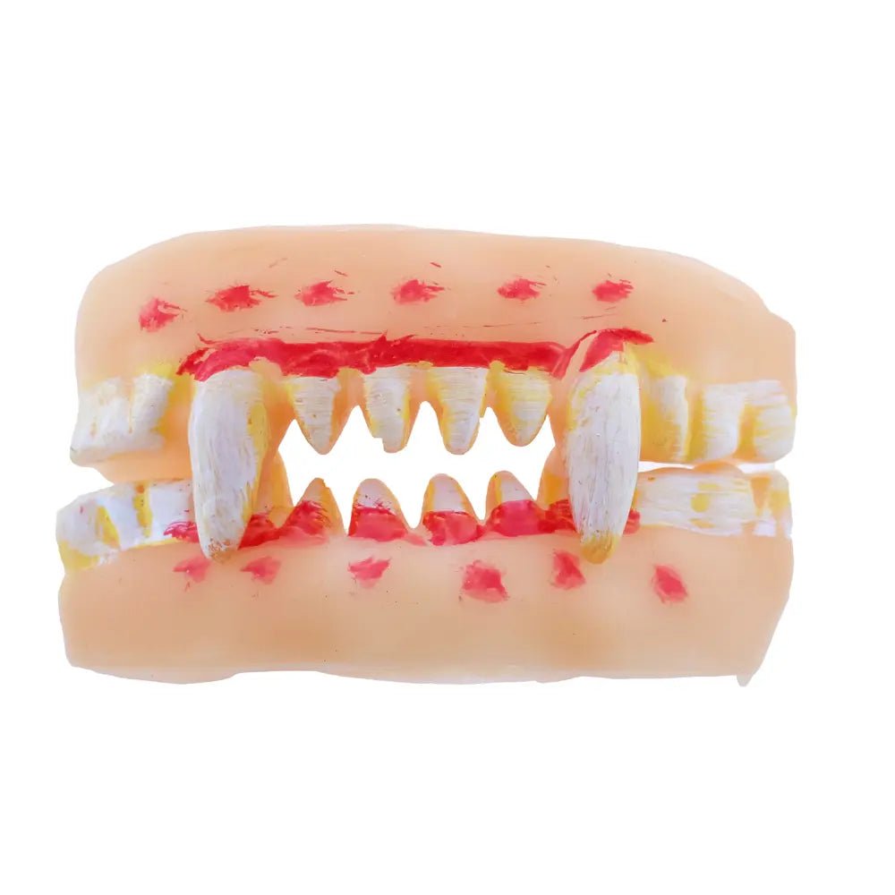 Spooky Fake Teeth 1pc (4 Assorted Designs) Halloween - Party Owls