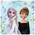 Disney Frozen 2 Lunch Napkins 20pk Serviettes - Party Owls
