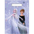 Disney Frozen Party Bags 8pk E8301 - Party Owls