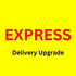 Express Delivery Upgrade - Party Owls