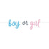 Gender Reveal Jointed Banner 2.13M Boy Or Girl 76087 - Party Owls