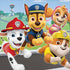 PAW Patrol Lunch Napkins 16pk Serviettes  512441 - Party Owls