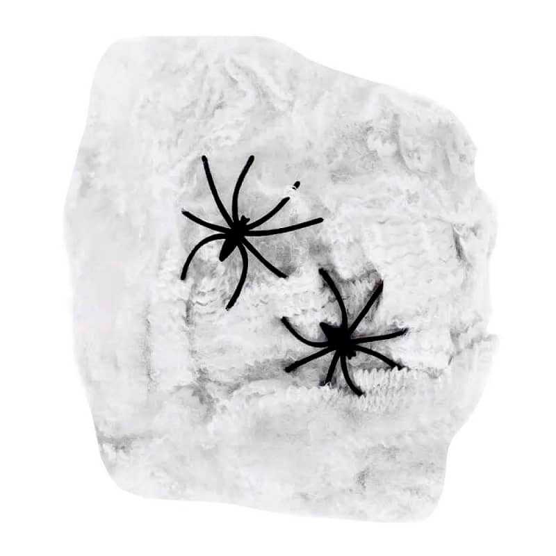 Spider Web With 2 Spiders Halloween Decorations 22801-02 - Party Owls