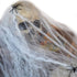 Spider Web With 2 Spiders Halloween Decorations 22801-02 - Party Owls